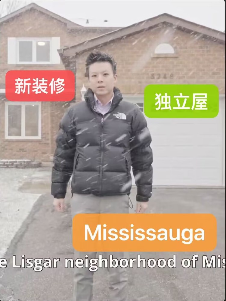 Renovated Detached Home in Lisgar, Mississauga